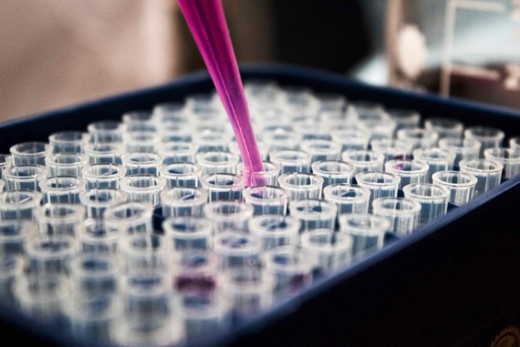 Scientific image of pipette with pink liquid being placed into plate